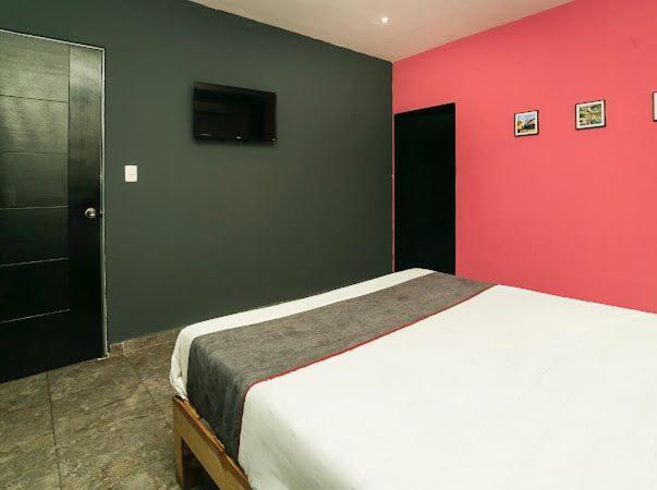 Adhoc Plaza Hotel Monterrey Exterior photo